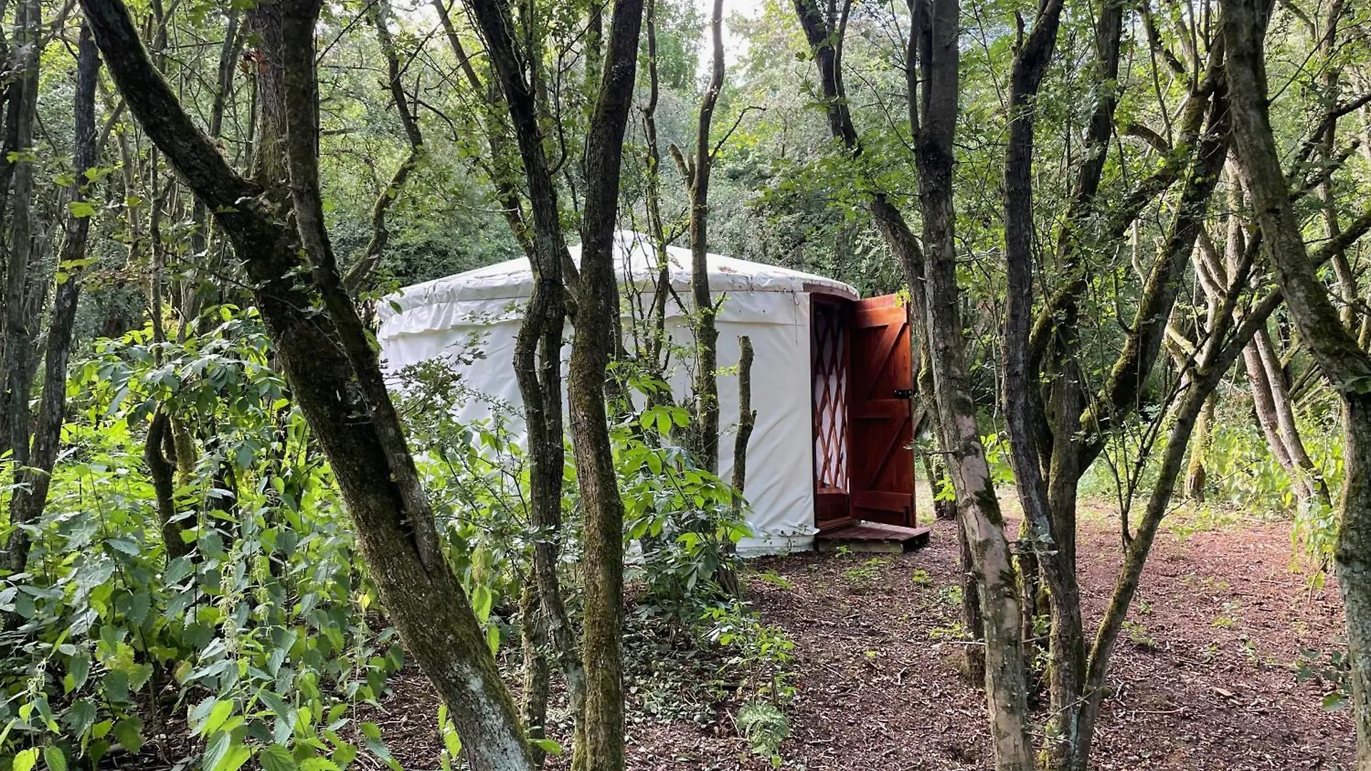Odin'S Rest Wild Glamping Hotel Bulmer 0*,  Reino Unido