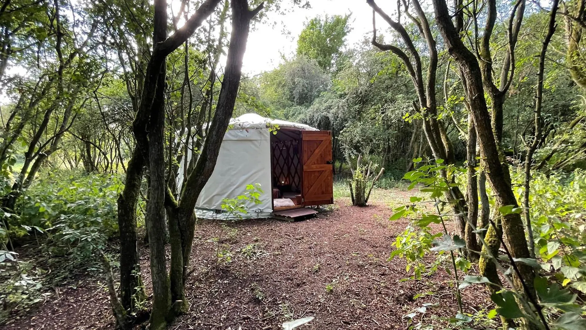 Odin'S Rest Wild Glamping Hotel Bulmer