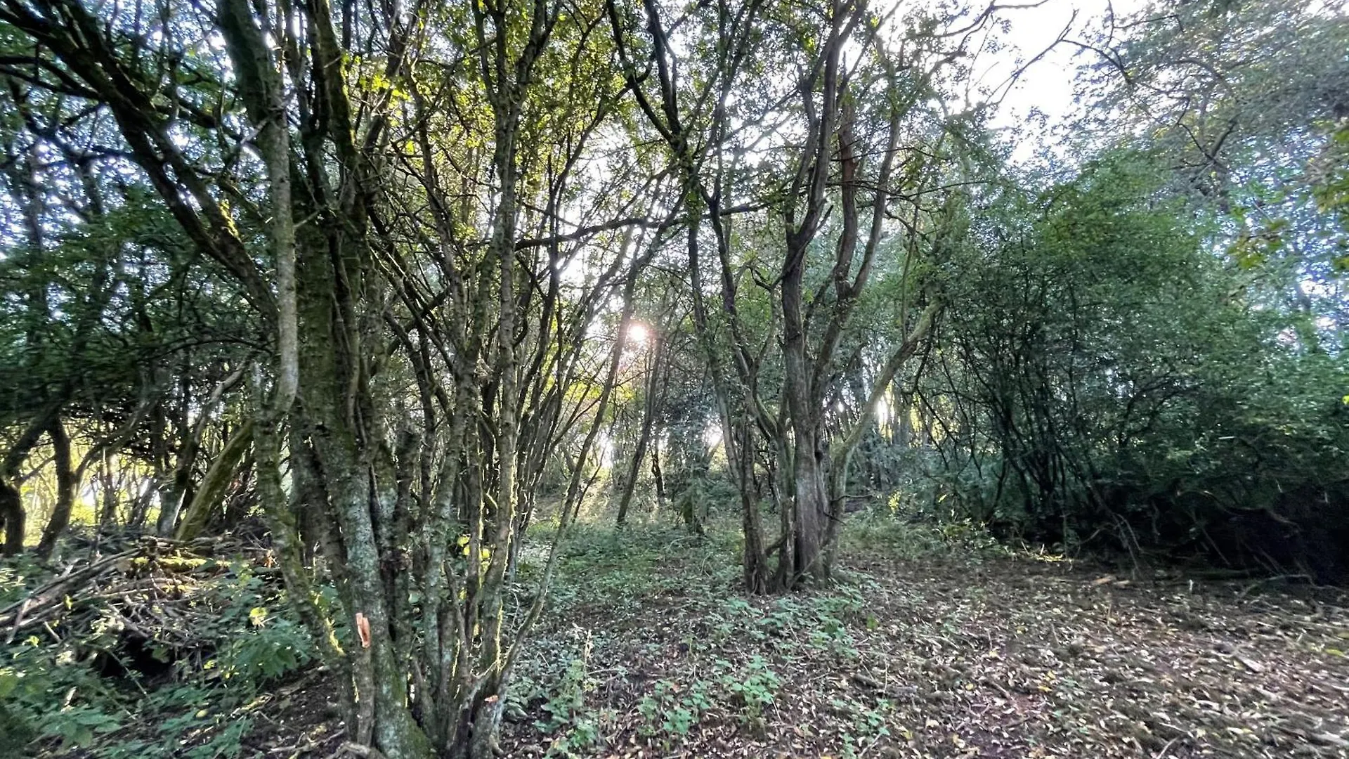 Parque de Campismo Odin'S Rest Wild Glamping Hotel Bulmer